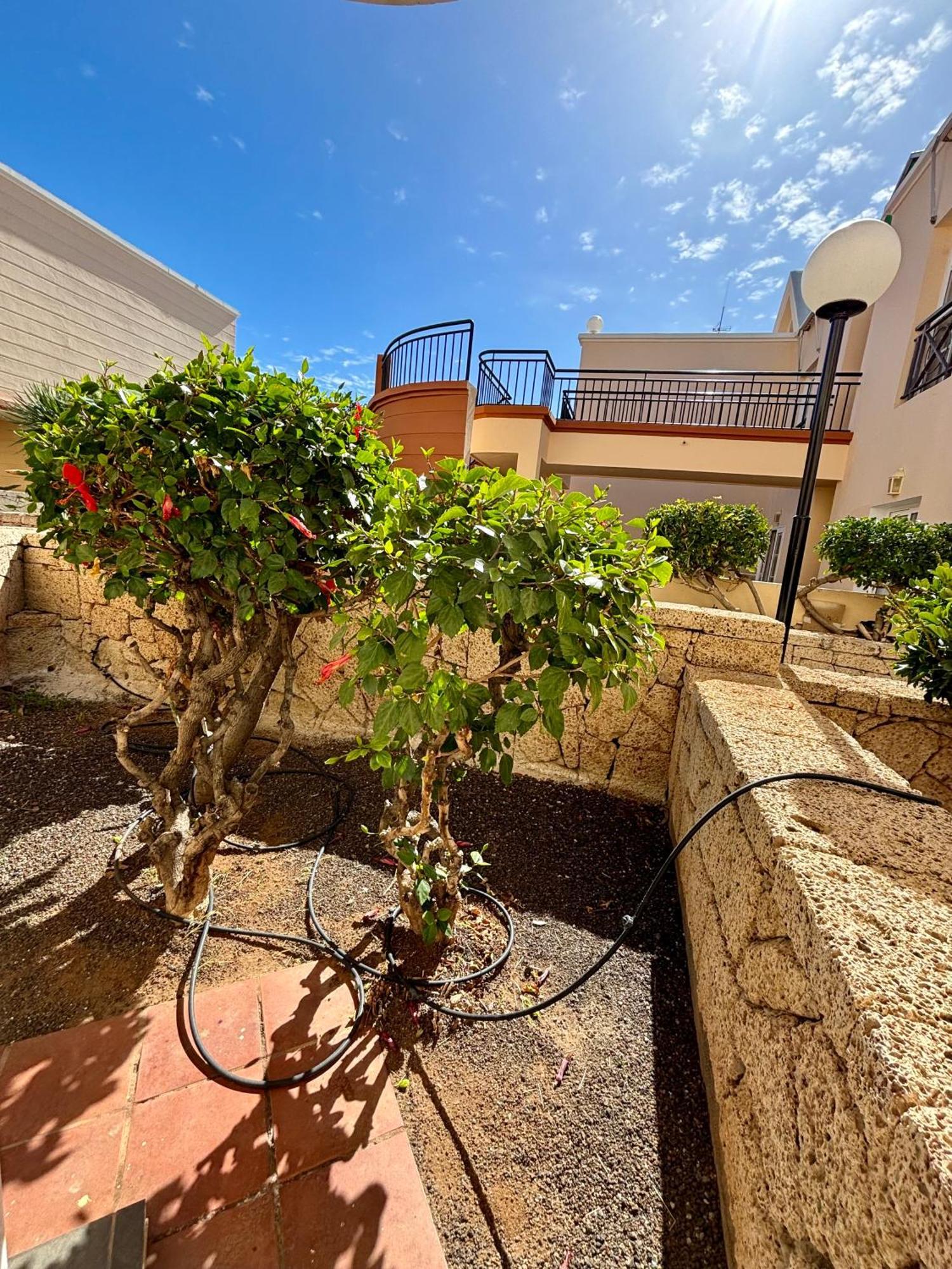 Apartment Clara Fanabe Costa Adeje  Extérieur photo